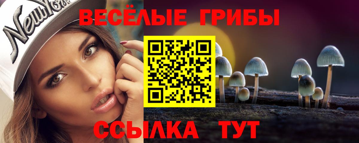 Псилоцибиновые грибы GOLDEN TEACHER  Вход с VPN  Приморско-Ахтарск 